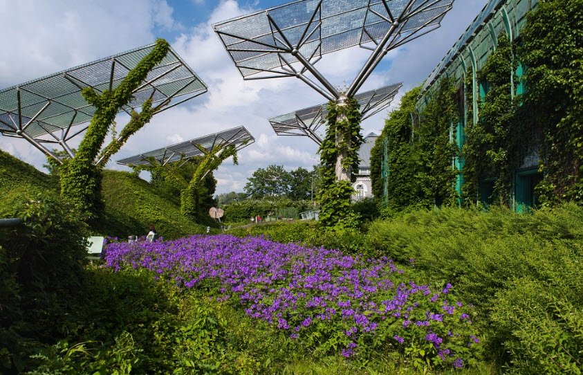 Botanic Garden of Warsaw University, Poland